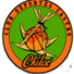 卡斯托洛